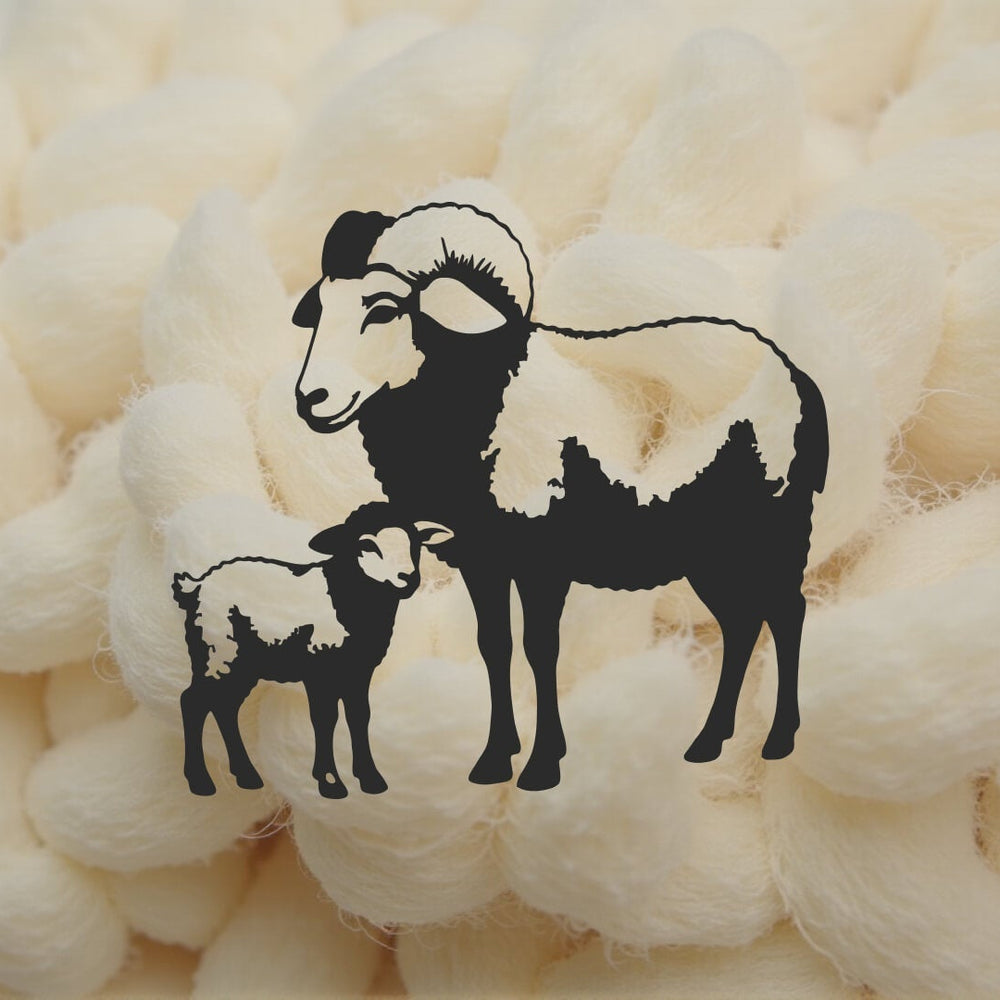 Merino Wool: Comfort You Can Feel from the Very First Touch